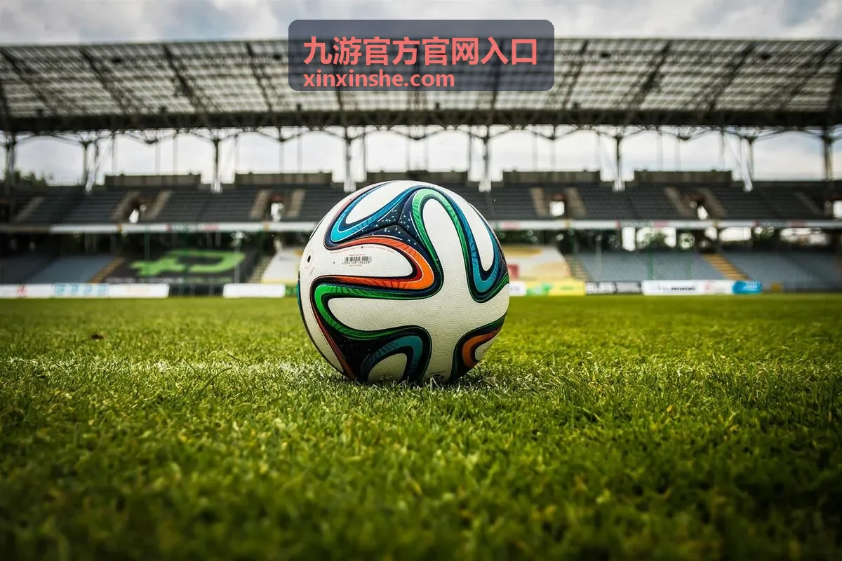 九游官方官网入口页面核对与自查示意